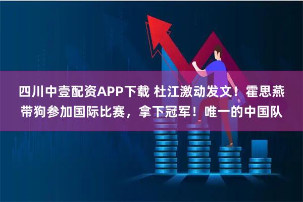 四川中壹配资APP下载 杜江激动发文！霍思燕带狗参加国际比赛，拿下冠军！唯一的中国队